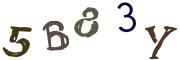 Bild-CAPTCHA