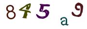 Bild-CAPTCHA
