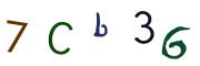 Bild-CAPTCHA
