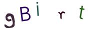 Bild-CAPTCHA