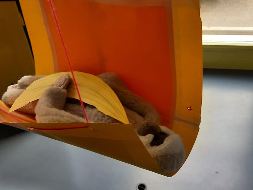 HeLa 2021 Hägematte für Momo