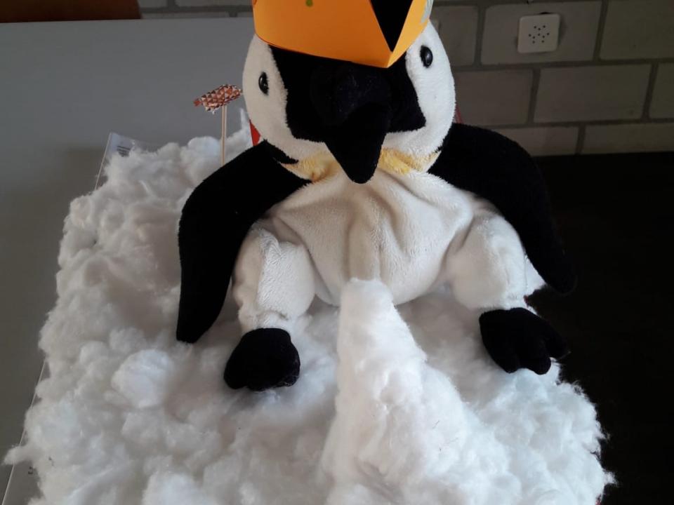 HeLa 2021 Eisscholle für Pipp