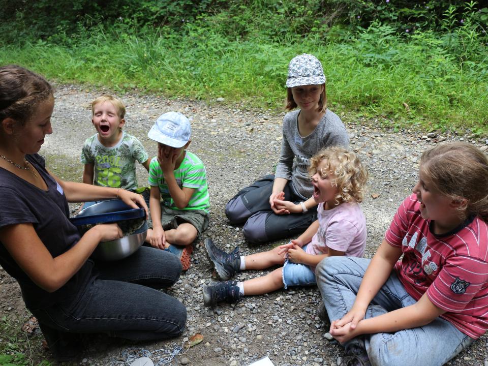 Geschmackssinn testen