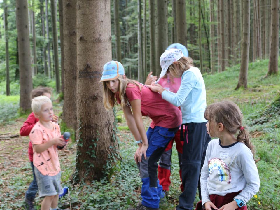 Jeder hilft dem anderen