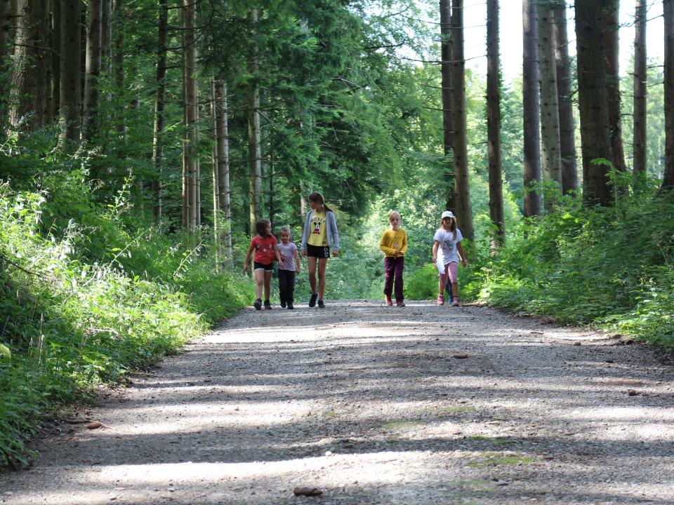 Start zum Postenlauf