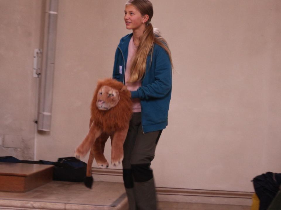 böse Tiere greifen die Schafe an