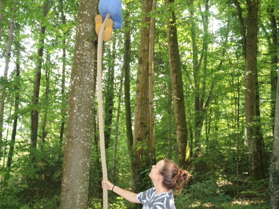 Klettern wie ein Affe