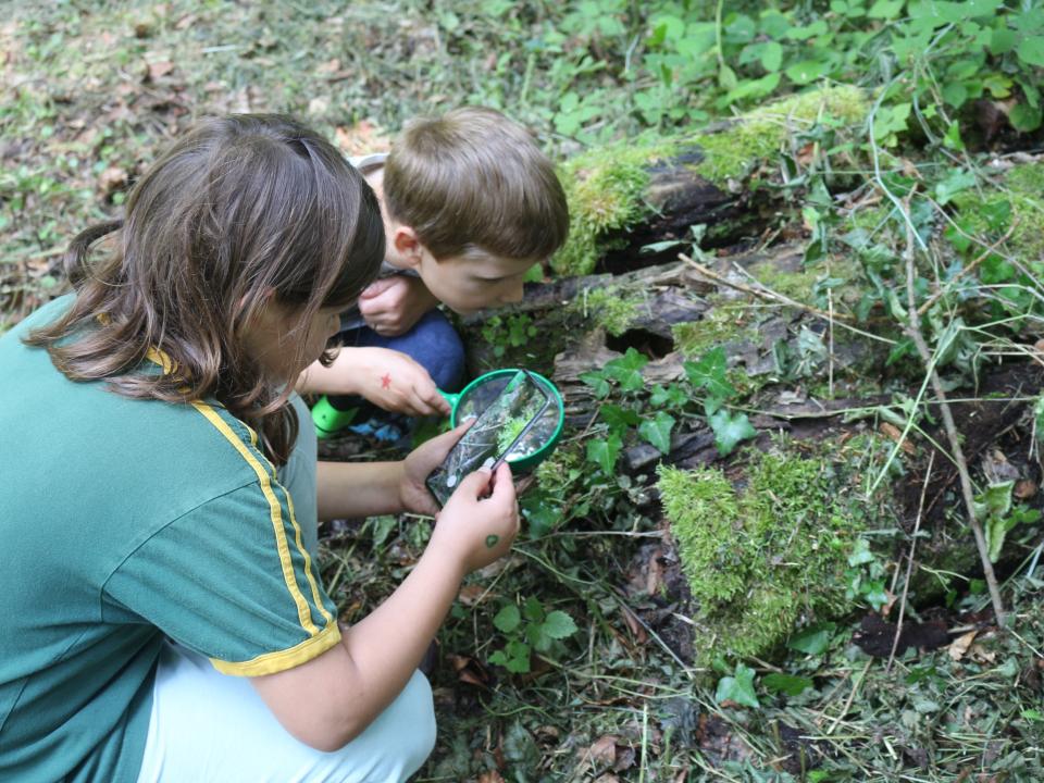 Wer entdeckt die Tiere