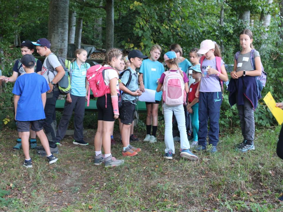 Gruppenbildung