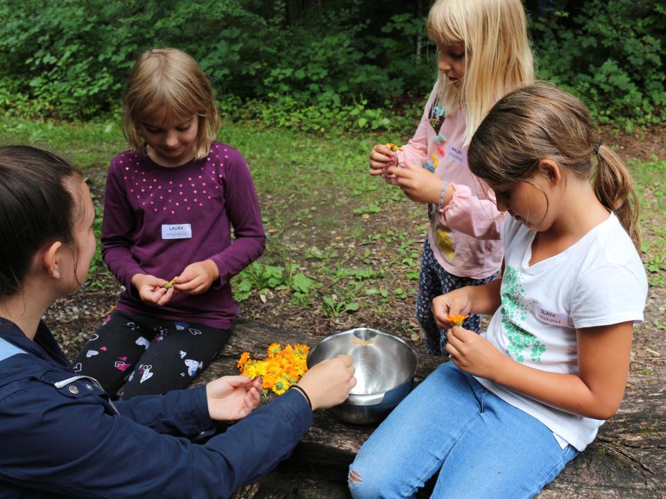 Feine Salbe herstellen