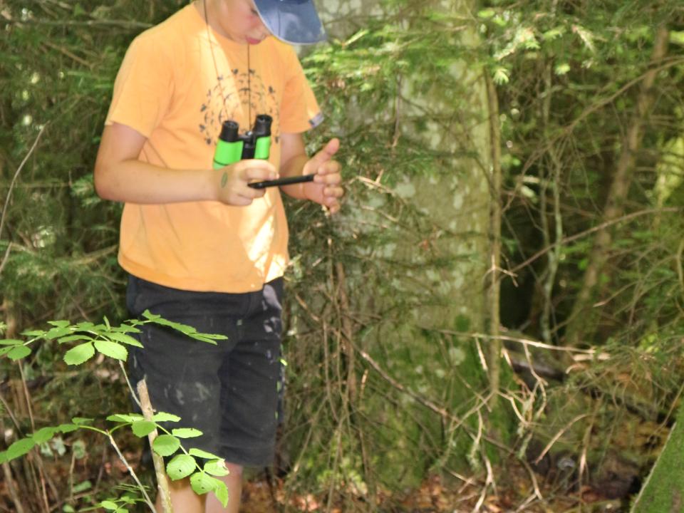 Unsere kleinen Entdecker