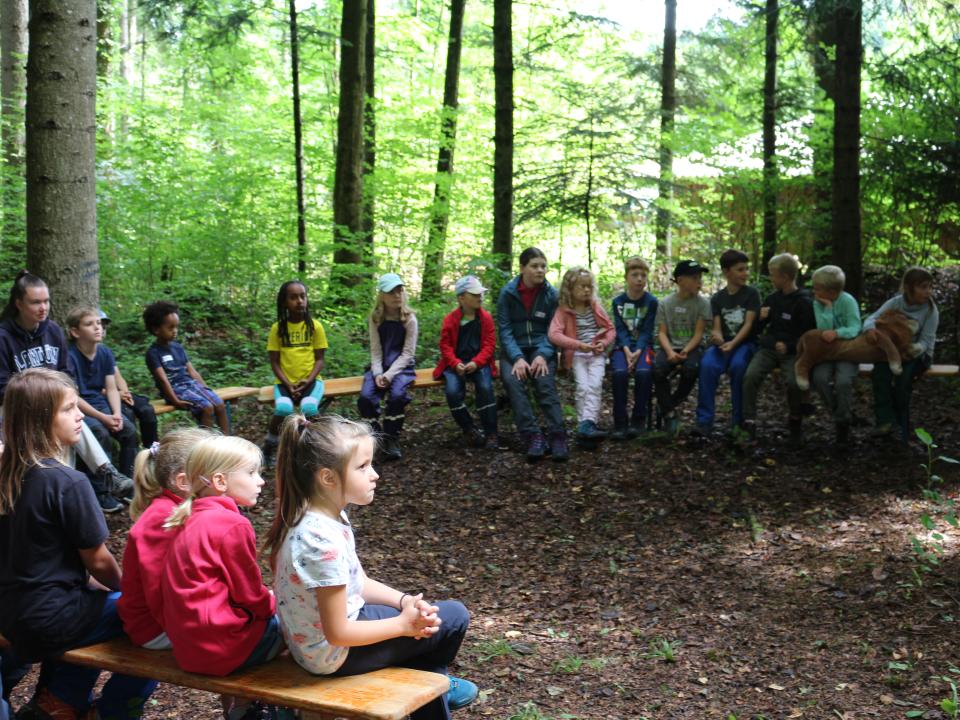 spannende Geschichte