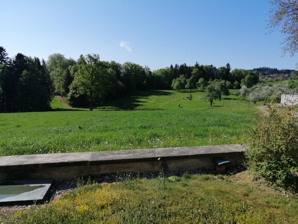 Heiligkreuz Landschaft