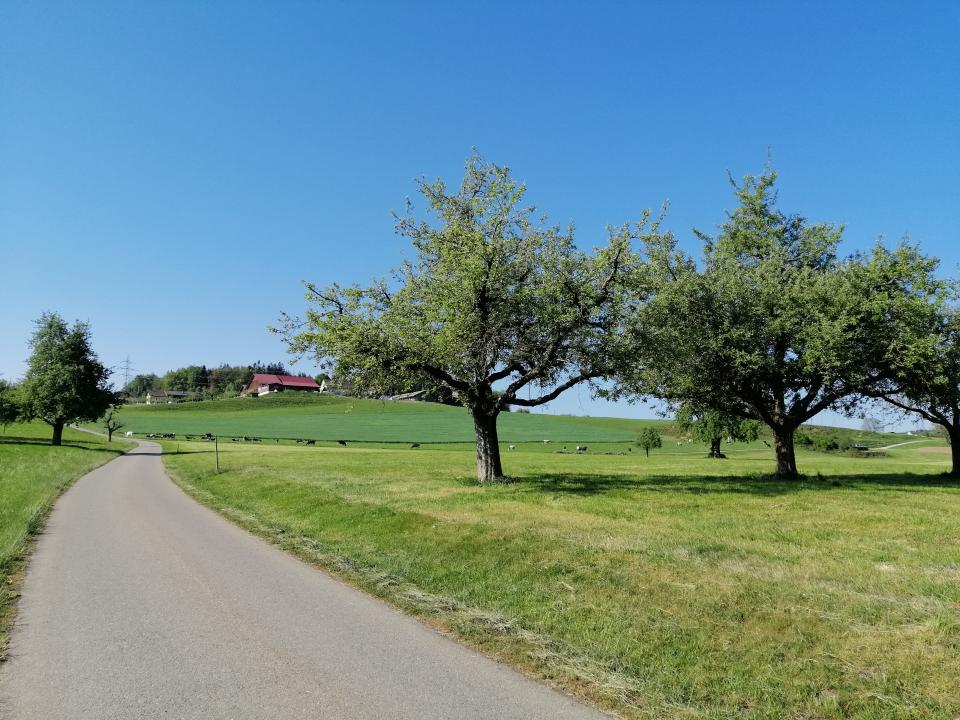 Schönholzerswilen Landschaft