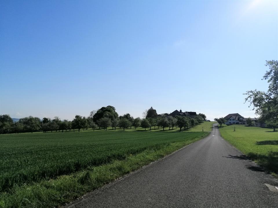 Wertbühl Landschaft