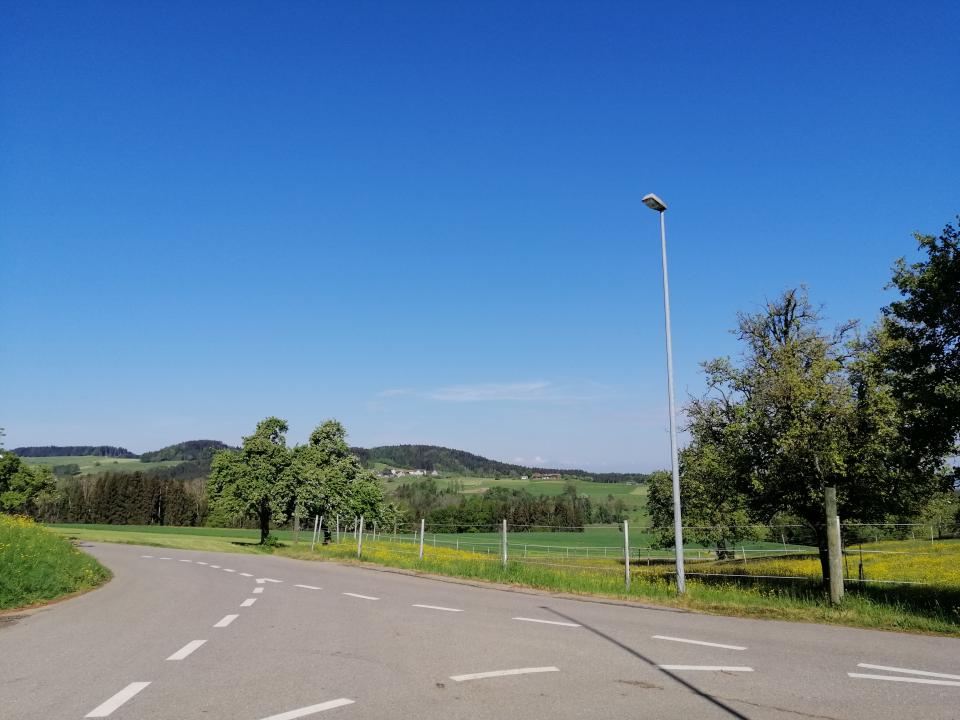 Welfensberg Wegkreuzung