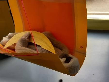 HeLa 2021 Hägematte für Momo