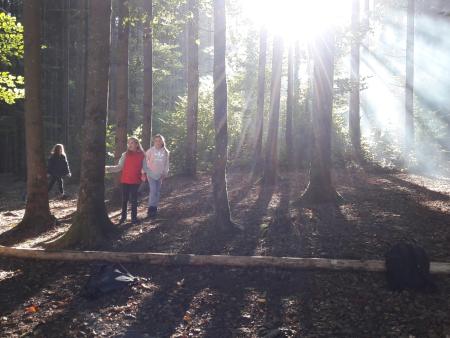 HeLa 2021 Nachmittag im Wald