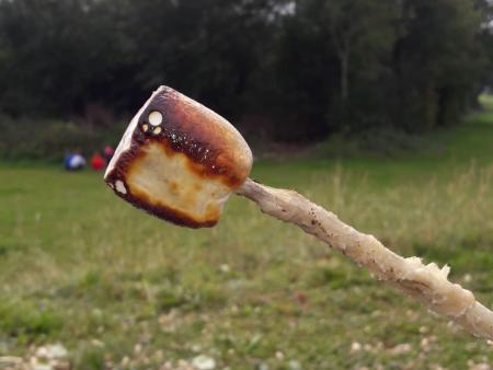 HeLa 2021 Marshmallow