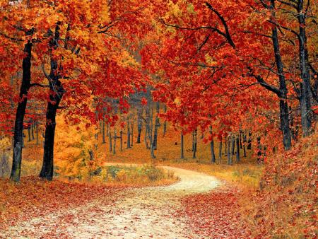 Rückblick: Ökum. Herbstwanderung der Senioren 