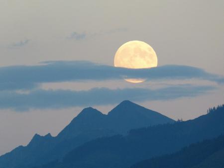 Publikation der Jahrzeiten