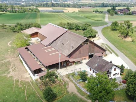 Ökumenischer Buurehof-Gottesdienst