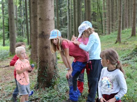 Jeder hilft dem anderen