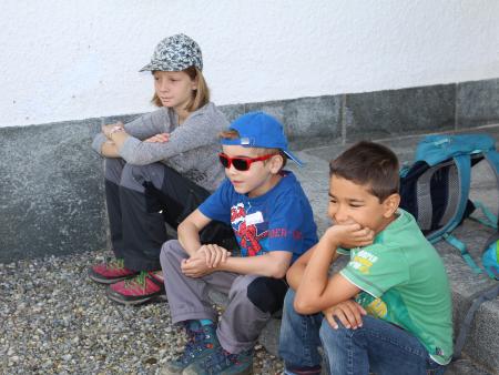 die coolen Beobachter