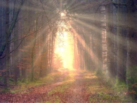 Wir sind für Sie da!