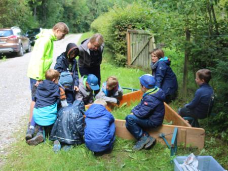 Schildkröten zu Besuch