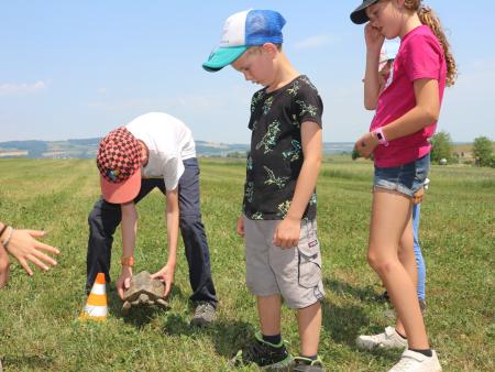 Schildkröte zum anfassen