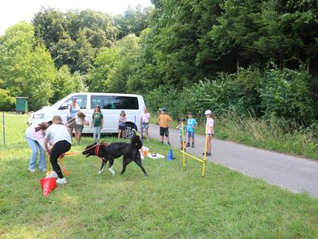 Was kann ein Hund alles