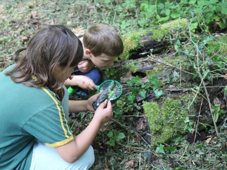 Wer entdeckt die Tiere