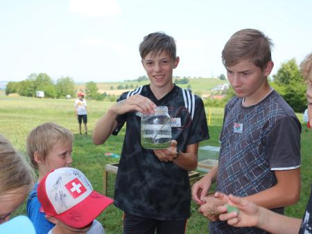 Wissenswertes über die Heuschrecke