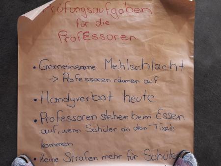 Professorenprüfung