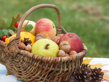 Eucharistiefeier zum Erntedank