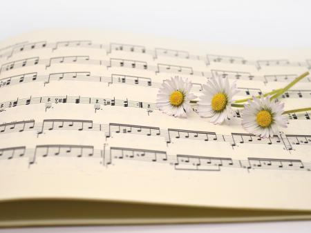 Friedenskonzert mit dem St. Petersburger Vokalensemble