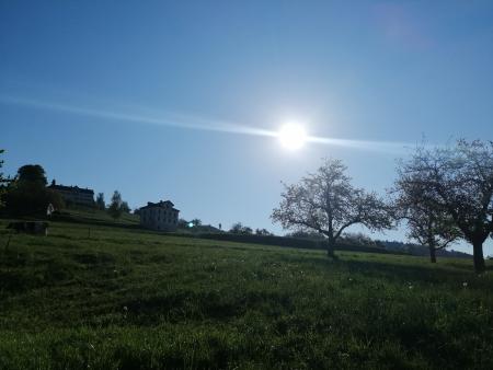Bettwiesen Landschaft