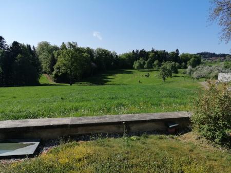 Heiligkreuz Landschaft