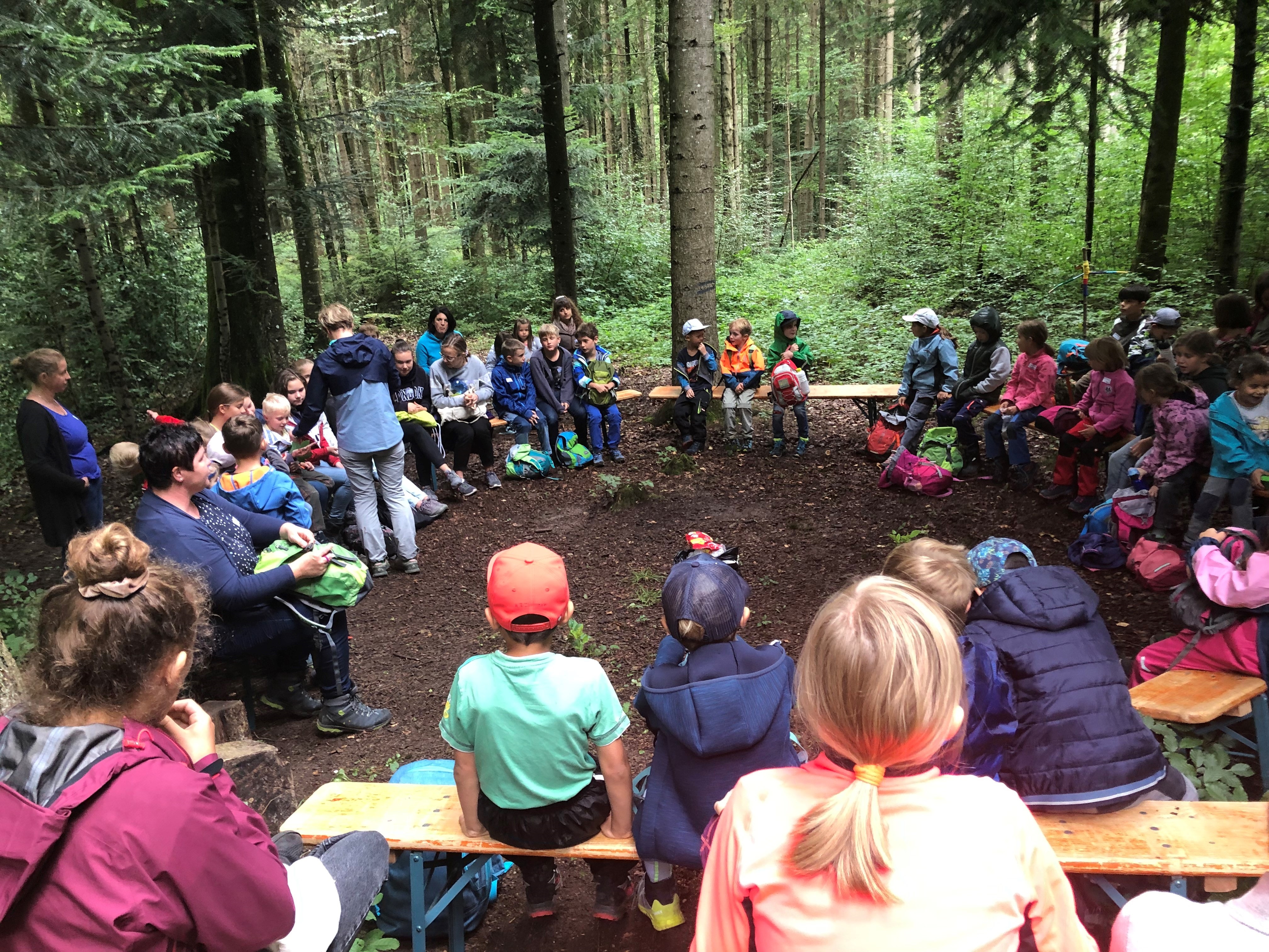 Mittagessen im Wald